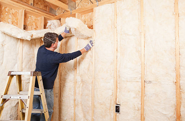 Best Eco-Friendly or Green Insulation Solutions in USA